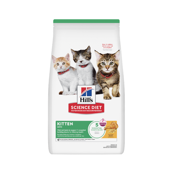 HILLS KITTEN ORIGINAL