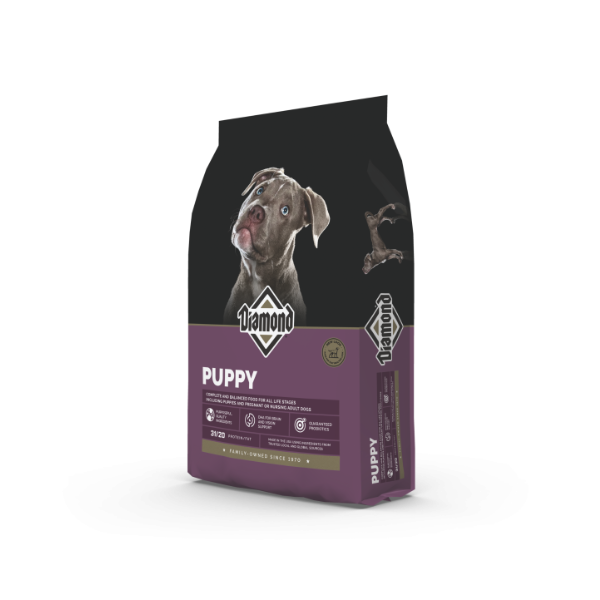 DIAMOND PUPPY