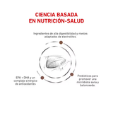 ROYAL CANIN GASTRO HIGH ENERGY FELINE