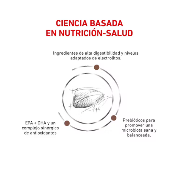 ROYAL CANIN GASTRO HIGH ENERGY FELINE