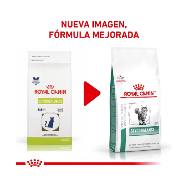 ROYAL CANIN GLYCOBALANCE FELINO