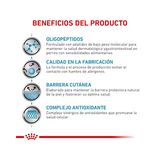 ROYAL CANIN ANALLERGENIC