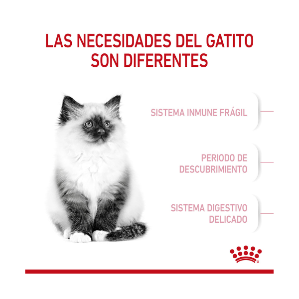 ROYAL CANIN KITTEN