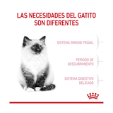 ROYAL CANIN KITTEN