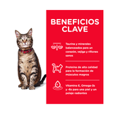HILLS ADULT FELINO 1-6