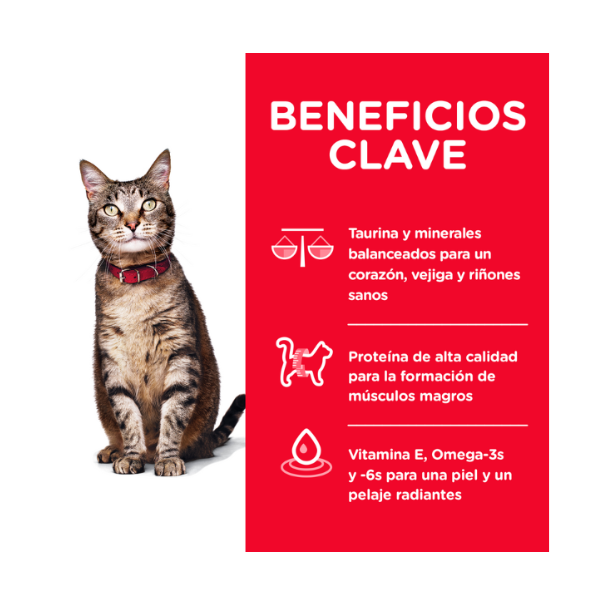 HILLS ADULT FELINO 1-6