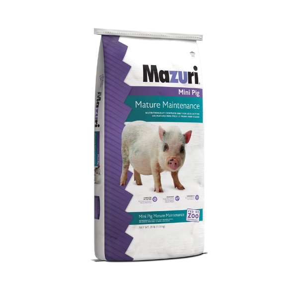 MAZURI MINI PIG  ELDER