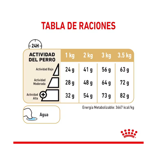 ROYAL CANIN POMERANIAN ADULT