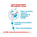ROYAL CANIN MINI STARTER MOTHER & BABY DOG