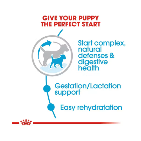 ROYAL CANIN MINI STARTER MOTHER & BABY DOG
