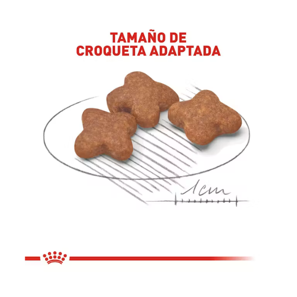 ROYAL CANIN MINI MATURE +8 AÑOS