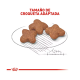 ROYAL CANIN MINI MATURE +8 AÑOS