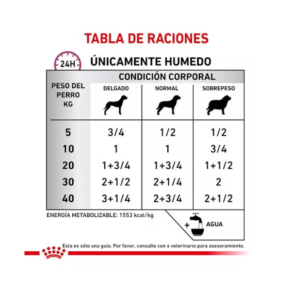 ROYAL CANIN RENAL SUPPORT E LATA 385 GR