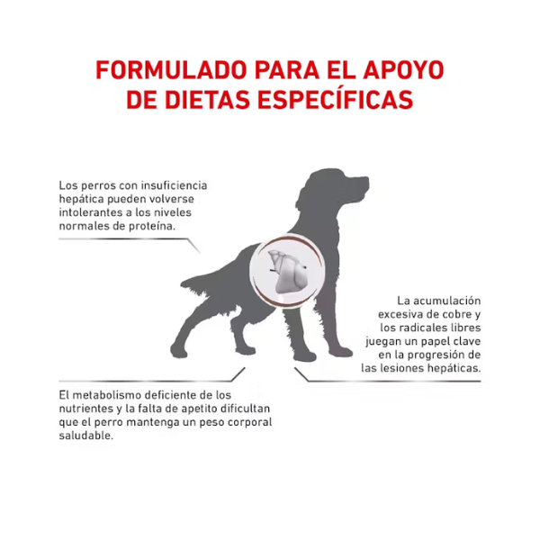 ROYAL CANIN HEPATIC