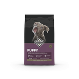 DIAMOND PUPPY