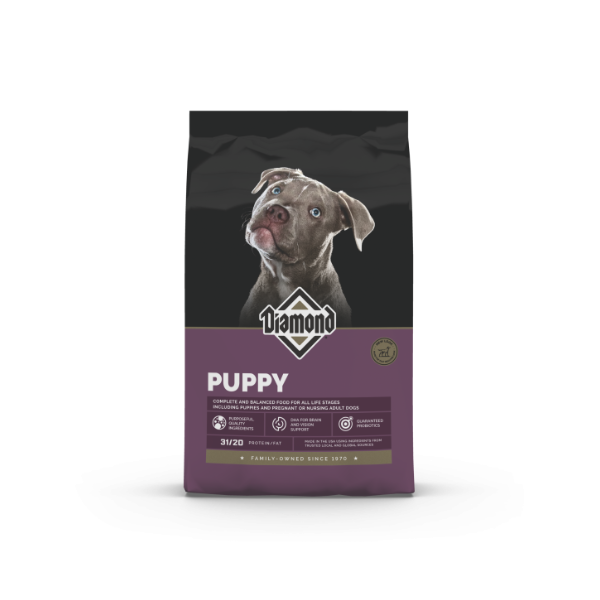 DIAMOND PUPPY