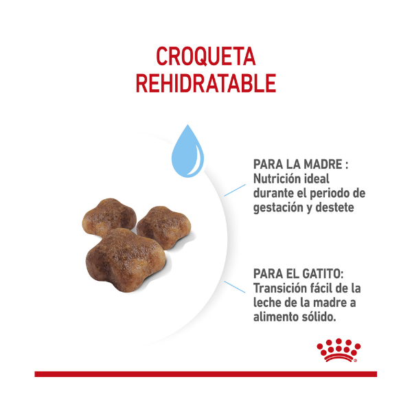 ROYAL CANIN MOTHER & BABYCAT