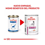ROYAL CANIN RENAL SUPPORT E LATA 385 GR