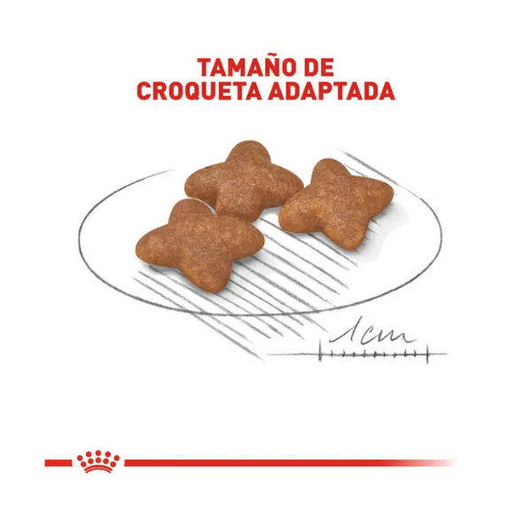 ROYAL CANIN MINI ADULT