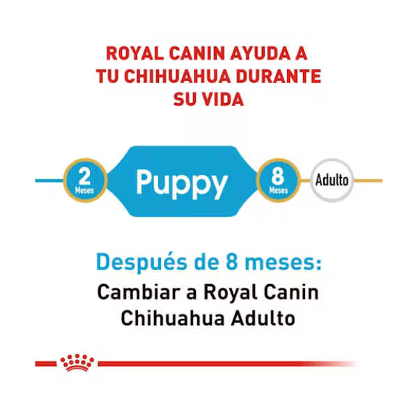 ROYAL CANIN CHIHUAHUA PUPPY
