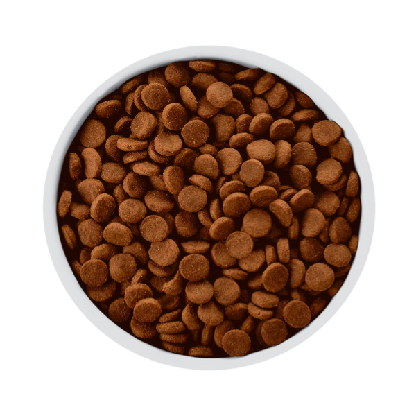 HILLS Z/D CANINO ALERGIAS Y SEBSIBILIDADES ALIMENTARIAS