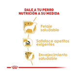 ROYAL CANIN YORKSHIRE