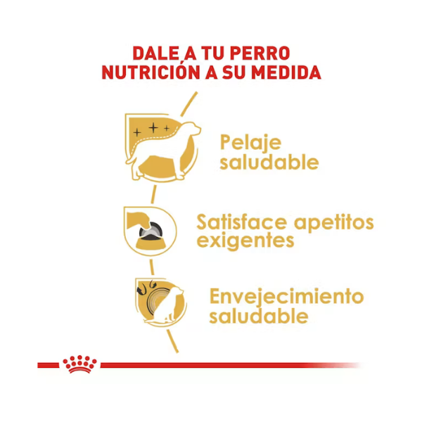 ROYAL CANIN YORKSHIRE