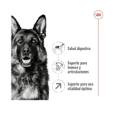 ROYAL CANIN MAXI ADULT +5 AÑOS