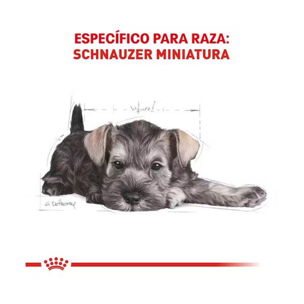 ROYAL CANIN SCHNAUZER PUPPY