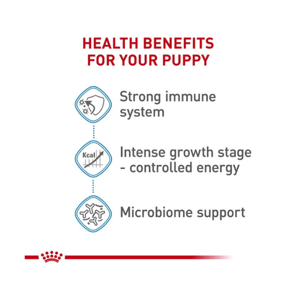 ROYAL CANIN PUPPY GIANT DOG