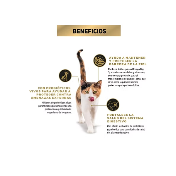 PRO PLAN FELINO SENSITIVE SKIN & STOMACH