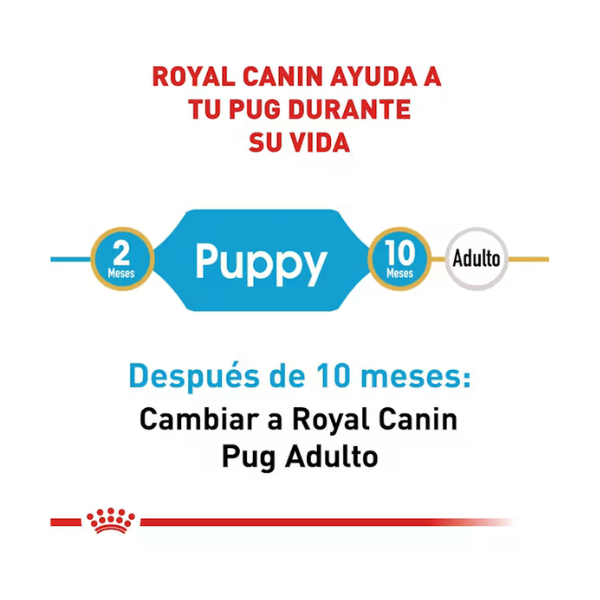 ROYAL CANIN PUG PUPPY