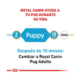 ROYAL CANIN PUG PUPPY