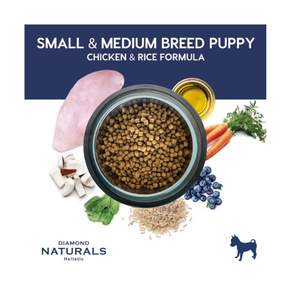 DIAMOND NATURALS SMALL BREED PUPPY