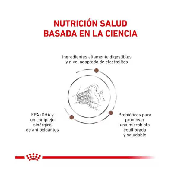 ROYAL CANIN GASTRO FIBER RESPONSE