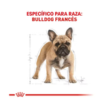 ROYAL CANIN FRENCH BULLDOG