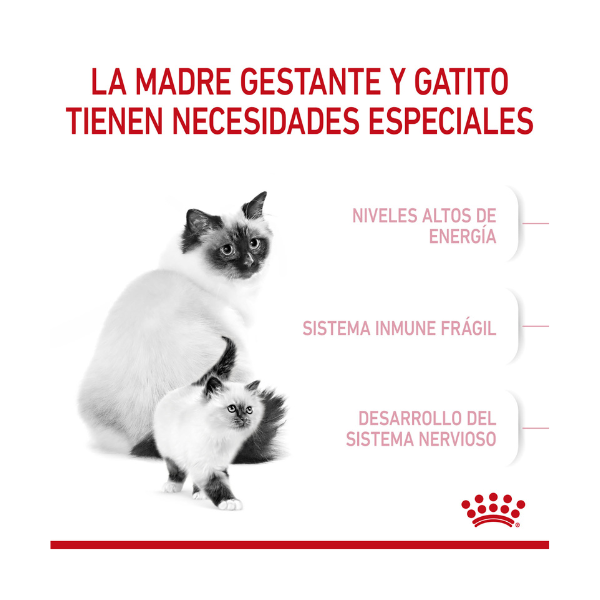 ROYAL CANIN MOTHER & BABYCAT