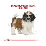 ROYAL CANIN SHIH TZU PUPPY
