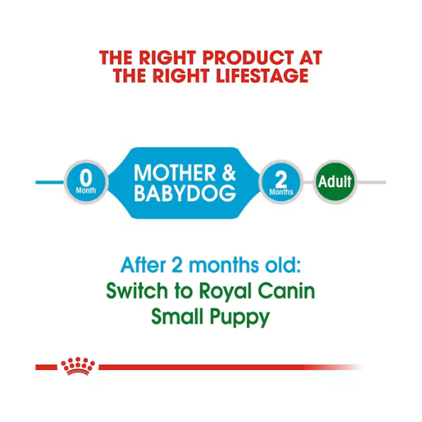 ROYAL CANIN MINI STARTER MOTHER & BABY DOG