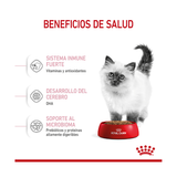 ROYAL CANIN KITTEN