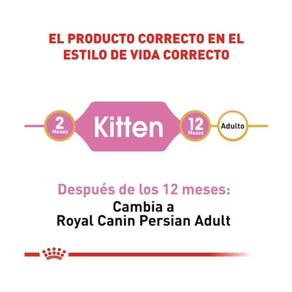 ROYAL CANIN PERSIAN KITTEN