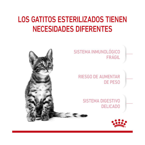 ROYAL CANIN KITTEN SPAYED