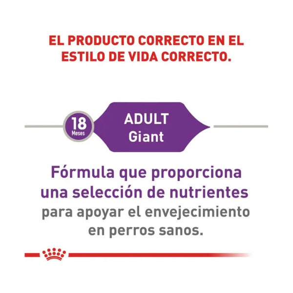 ROYAL CANIN GIANT ADULT