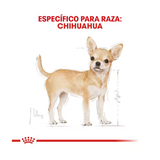 ROYAL CANIN CHIHUAHUA ADULT