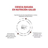 ROYAL CANIN GASTRO PUPPY