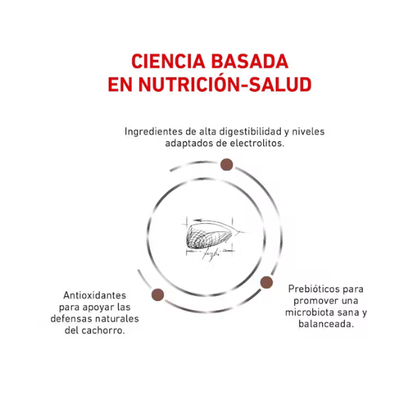 ROYAL CANIN GASTRO PUPPY