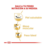 ROYAL CANIN PUG