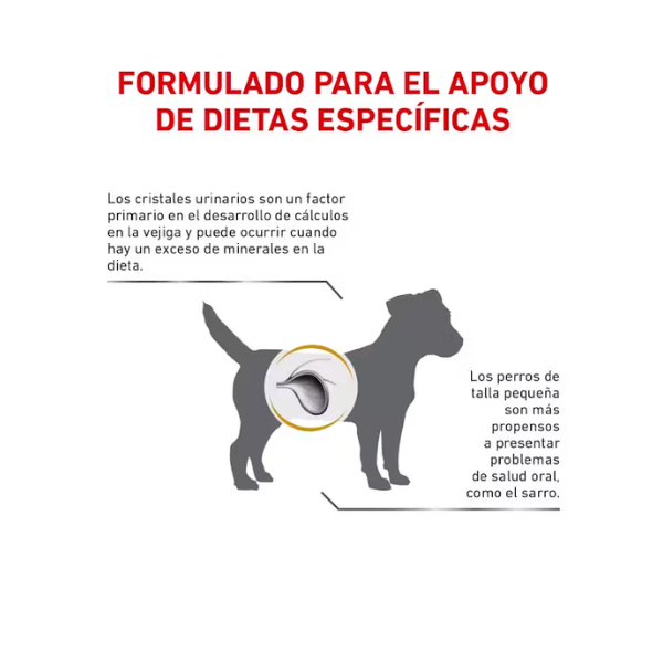 ROYAL CANIN URINARY SO SMALL DOG