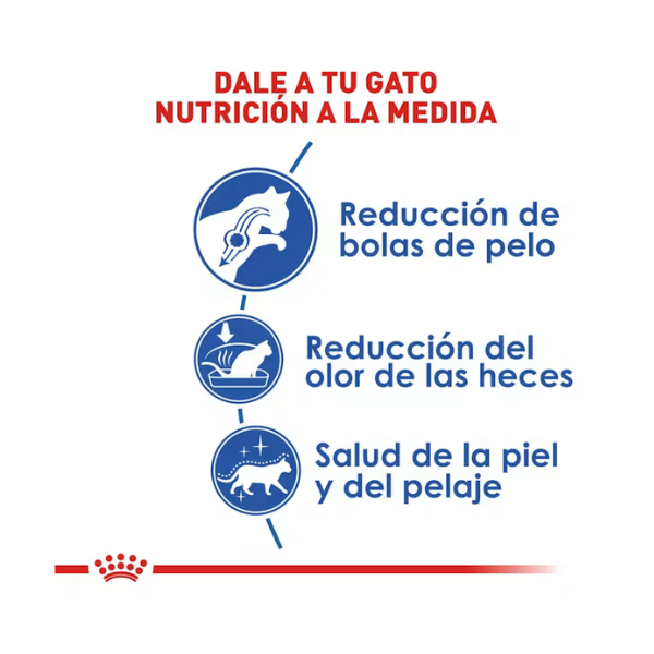 ROYAL CANIN INDOOR ADULT
