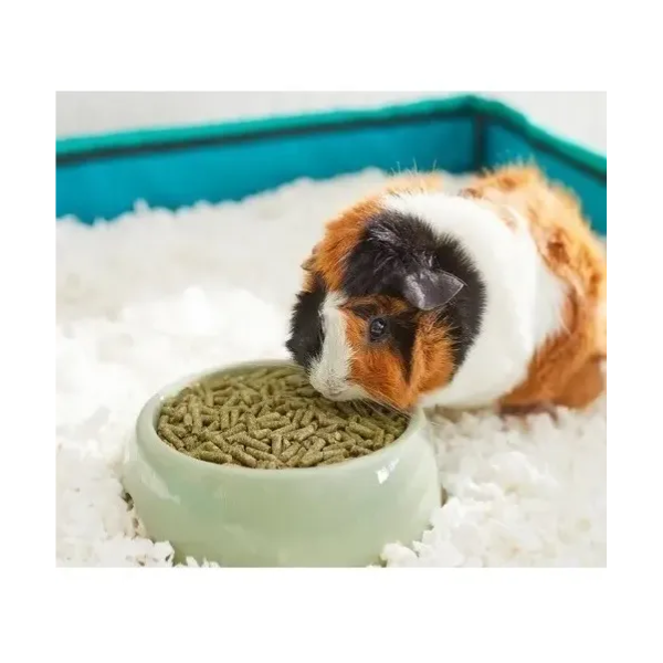 MAZURI GUINEA PIG DIET